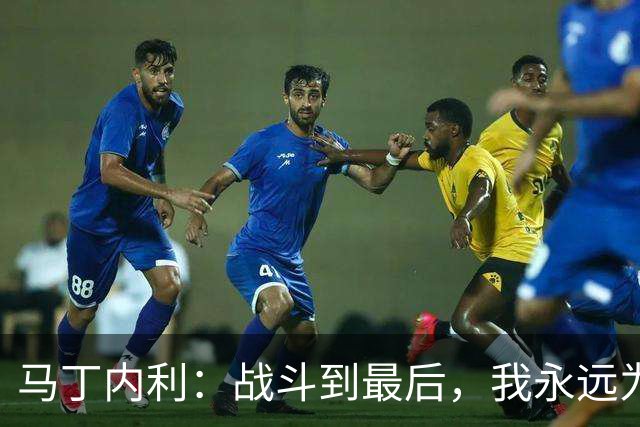 马丁内利：战斗到最后，我永远为阿森纳队徽而战